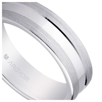 Alianza de plata de ley - foto 04 - rfcia 5760031