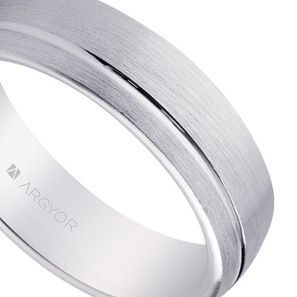 Alianza de plata ley - foto 04 - rfcia 5755050N