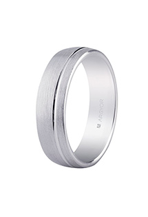 Alianza de plata ley - foto 3 - rfcia. 5755050N