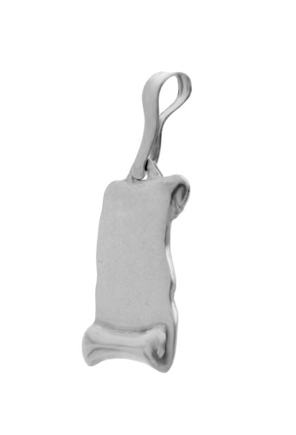 chapa de plata tipo pergamino foto para web el rubi joyeros toma dos