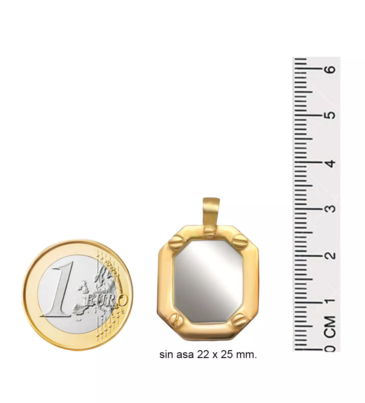 Chapa de identidad de acero y oro 142_0011-16 Chapa de identidad de acero y oro 142_0011-16 - Imagen 5