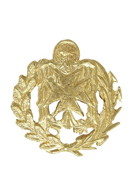 insignia oro amarillo 18 ktes para ATS foto frontal 037_50-001-ATS