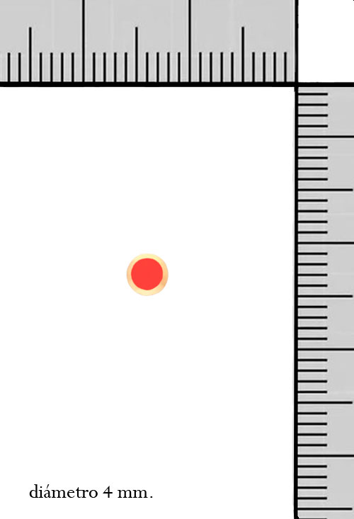 pendiente bebe coral y oro 18 kilates foto medidas 025_B-02450_M