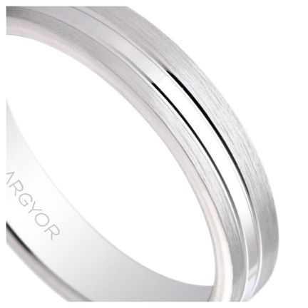 Alianza de plata - foto 04 - rfcia 5740341