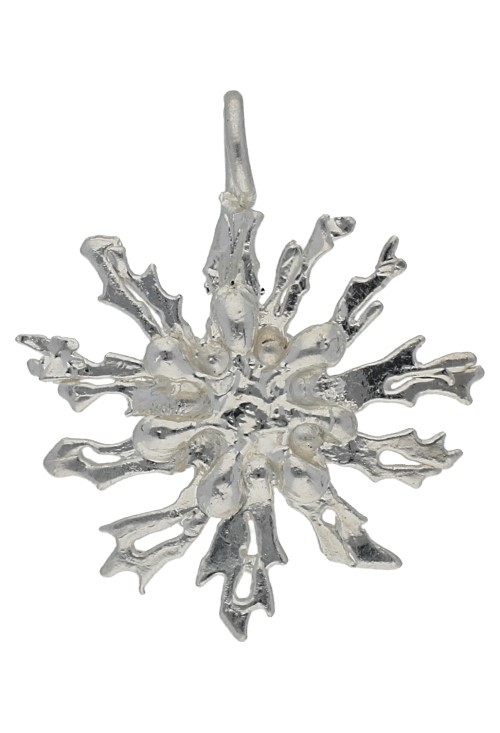 Joyería de la Naturaleza: Joyas Únicas Hechas con Hojas Naturales Colgante planta natural carlina 270_EGUZKILORE-35-35