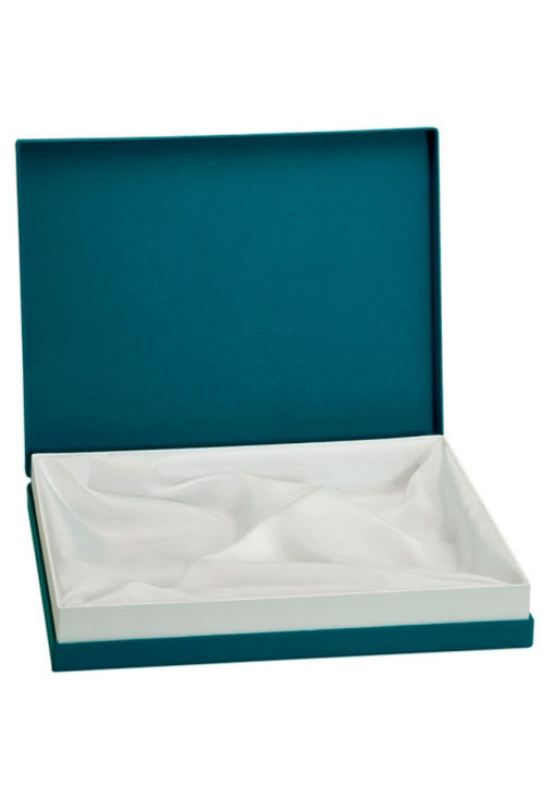 Placa de homenaje de latón plateado 135_P-2034-GL estuche placa de homenaje