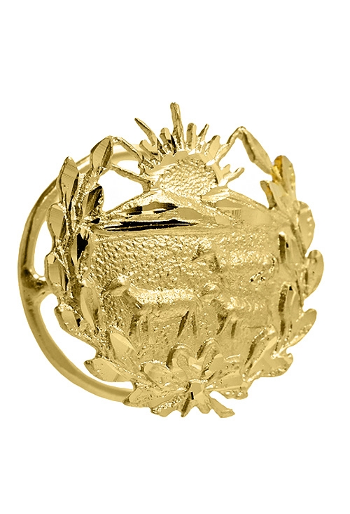 insignia de oro amarillo 18k veterinaria vista con solapera 085_4268-VET_01