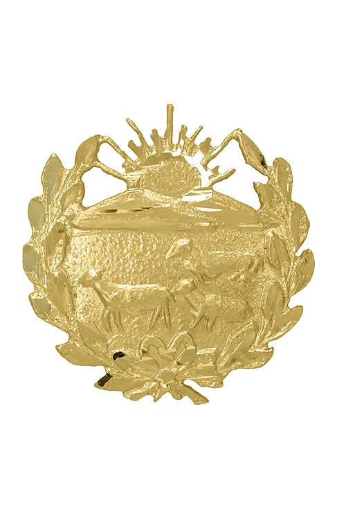 insignia de oro amarillo 18k veterinaria vista frontal 085_4268-VET