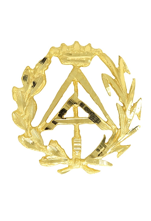 insignia de oro aparejador foto frontal 085_4268-APA