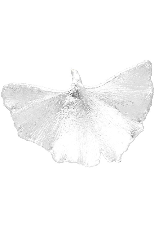 Colgante hoja natural biloba chapado en plata 270_BILOBA-P-6-6 Colgante hoja natural biloba chapado en plata 270_BILOBA-P-6-6