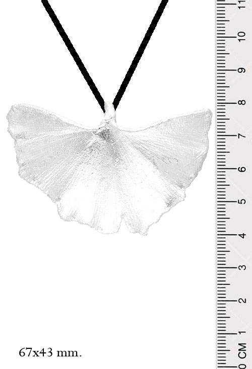 Colgante hoja natural biloba chapado en plata 270_BILOBA-P-6-6 Colgante hoja natural biloba chapado en plata 270_BILOBA-P-6-6