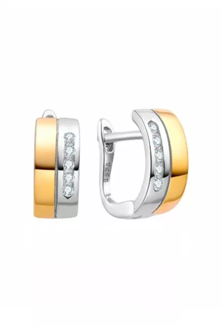 Pendientes plata bicolor con motivo de circonitas en hilera 280_2024421-BIC