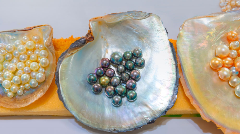 Perlas cultivadas y naturales