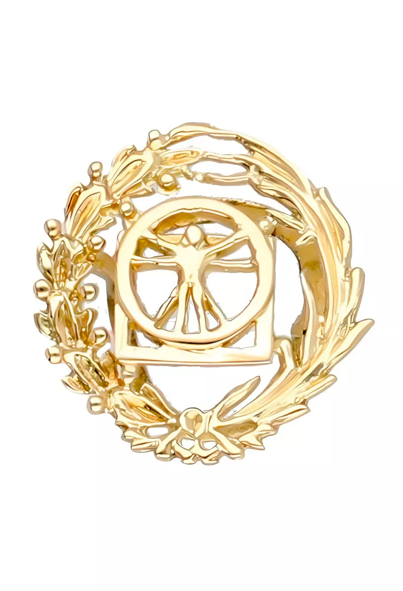 Insignia de oro: el detalle que honra tu profesión con elegancia 2025 Insignia de oro 18K bellas artes 028_I-0001-BART