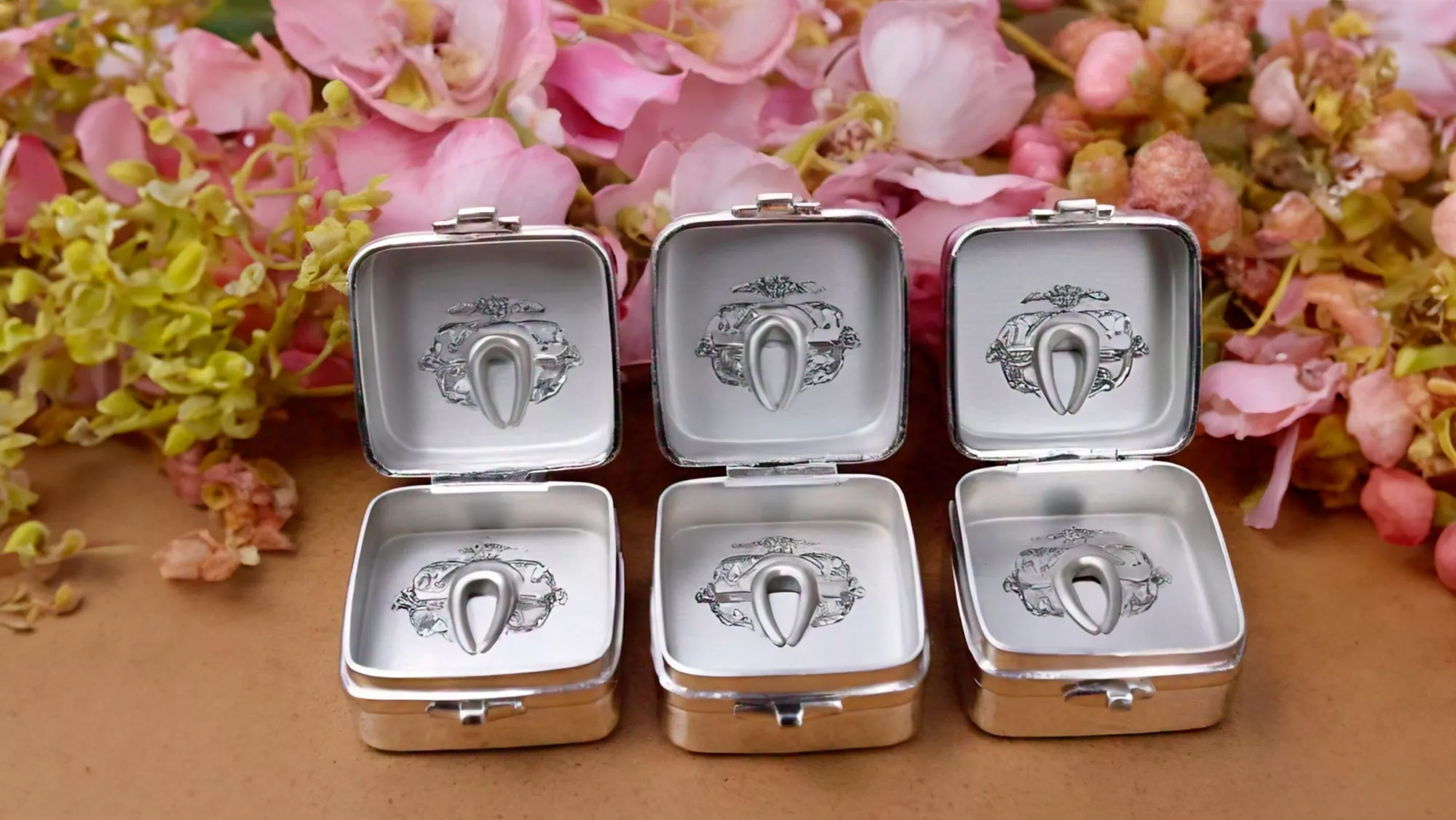 caja de plata para dientes de leche PRINC