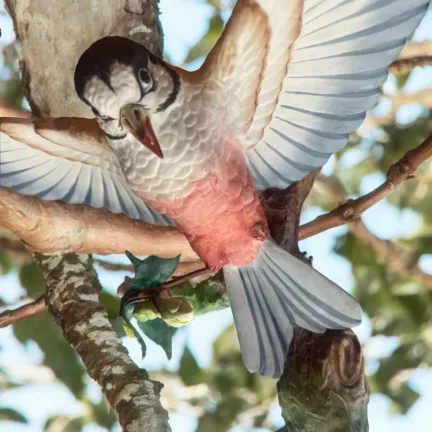 figura de porcelana buen retiro pajaro alas abiertas 19 02
