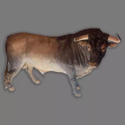 figura porcelana toro bravo marca buen retiro