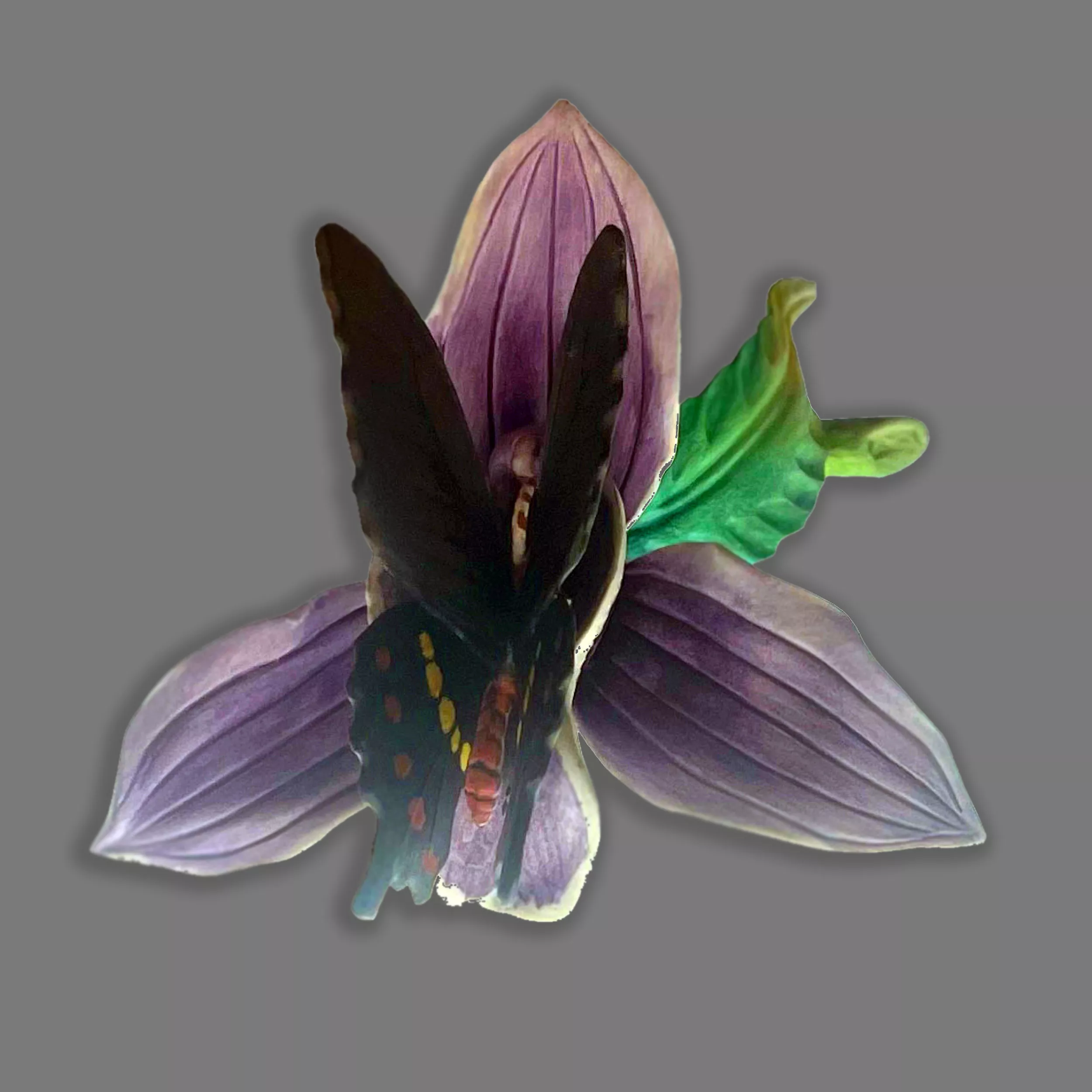 Figura de Porcelana Nuevo Buen Retiro Mariposa Negra