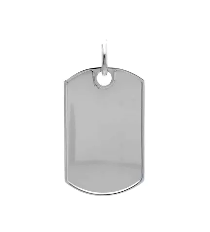 chapa de plata tipo militar foto panel