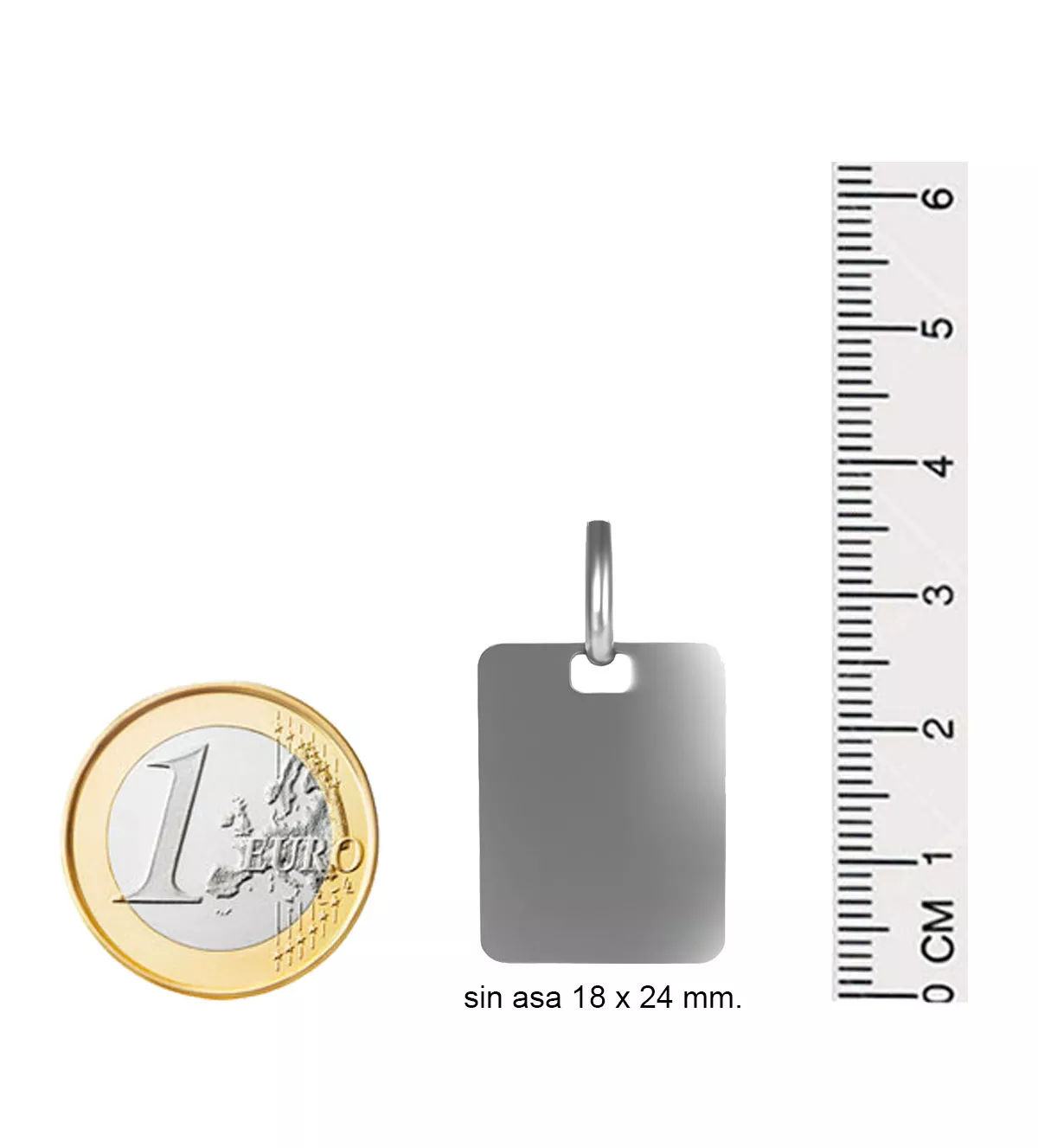 Chapa de identidad de plata 031_119-PLA-P1E Chapa de identidad de plata 031_119-PLA-P1E - Imagen 4