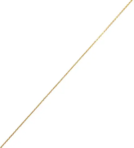 cadena-de-oro-309_265 cadena forzada foto extendida