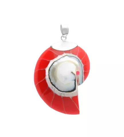 colgante de plata con resina forma de caracol