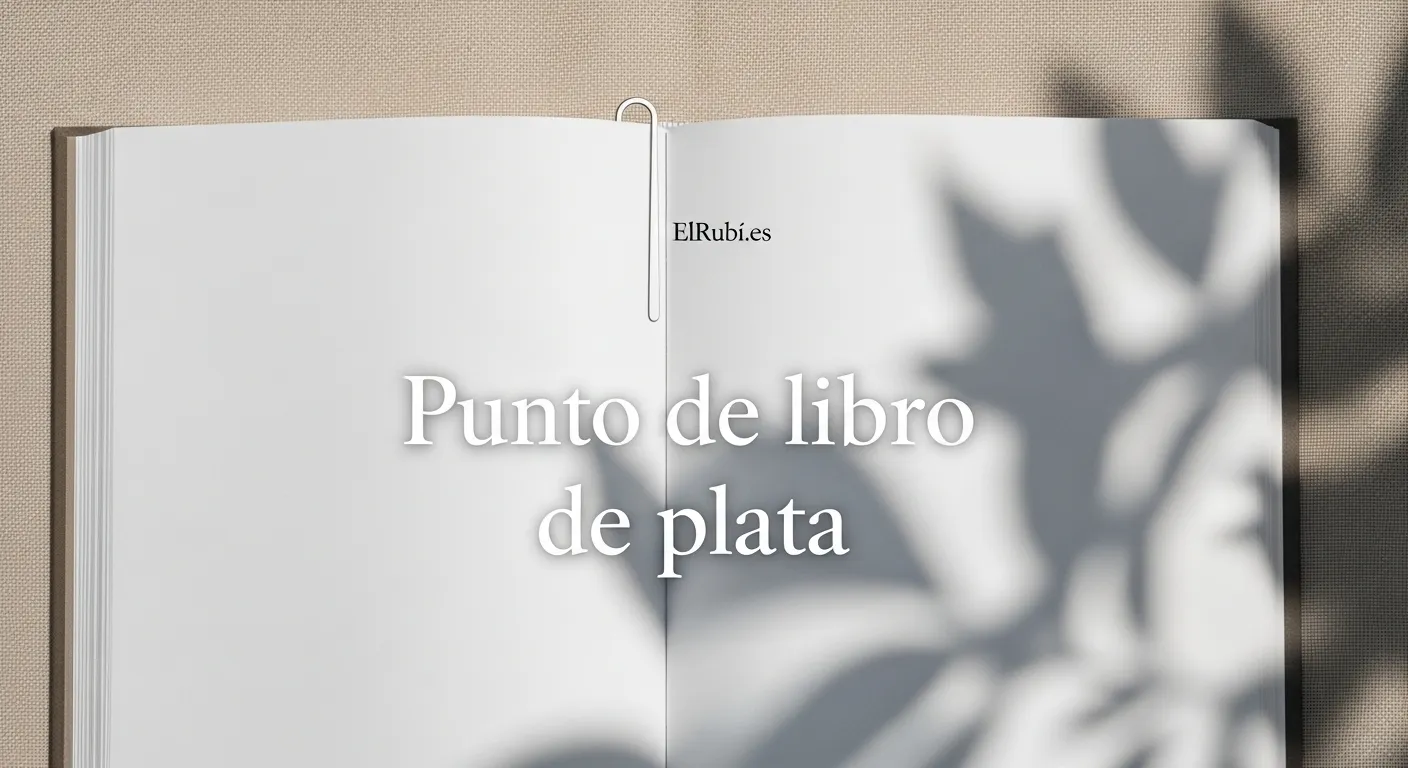 Punto de libro de plata8